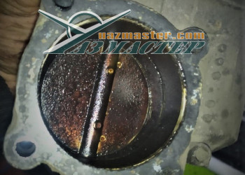 Дроссель ЗМЗ-409 Е4 никогда не мыли